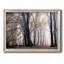 Fall Softly " Fall Softly "-455185471