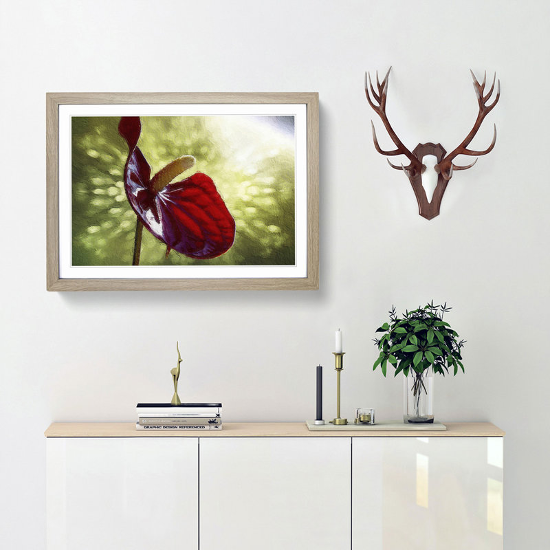 Red Anthurium Flower - Picture Frame Photograph Print, Oak Framed, 27cm H x 36cm W x 2cm D