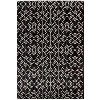 Indoor / Outdoor Area Rug