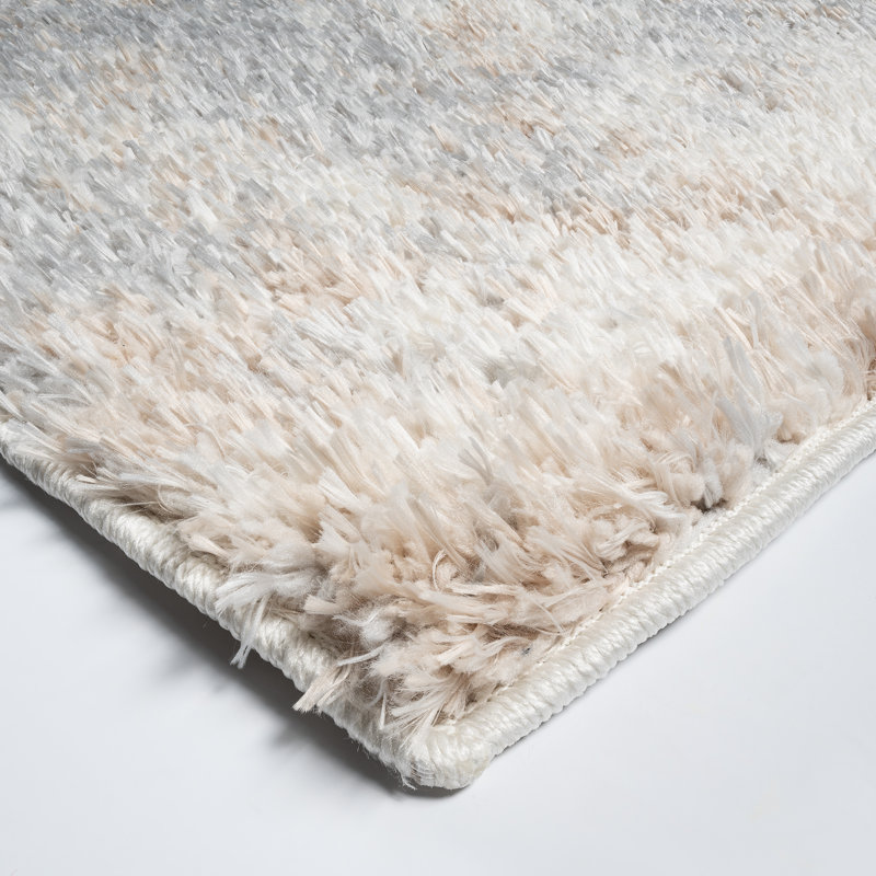  Tapis à poils longs en microfibre Thayer Garda, Rectangle 6 pi 6 po x 9 pi 6 po