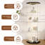 Display Cabinet-640038381