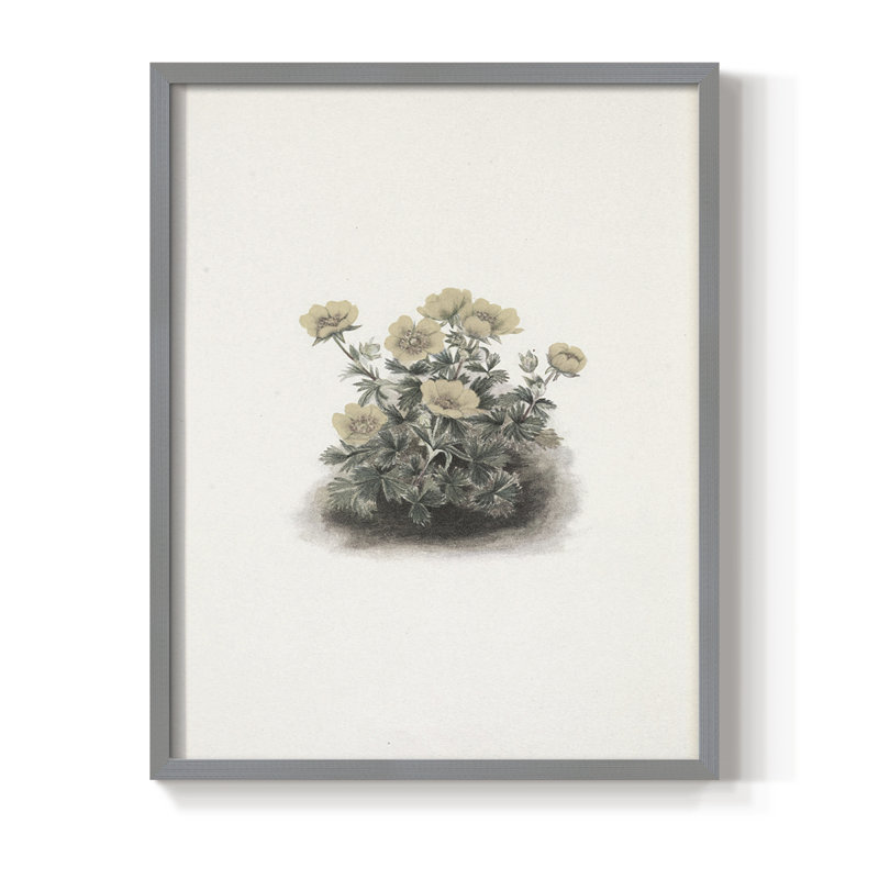Impression florale rétro avec cadre CC - bois massif, Gris, H 21 po x l 17 po