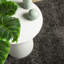 Rug "ISTAN" High Pile Shiny Look Anthracite-1093049770