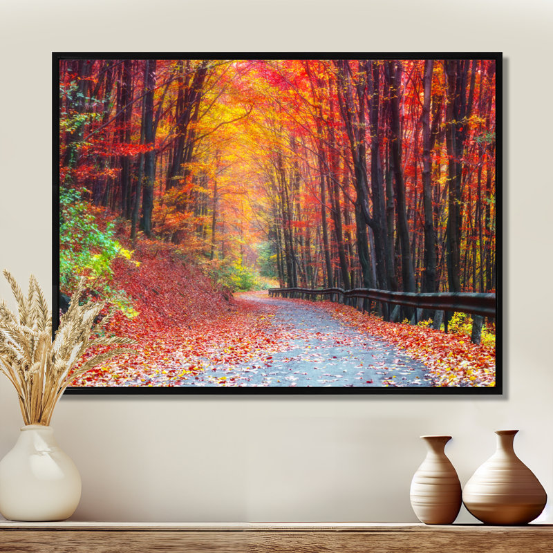 « Road In Beautiful Autumn Forest » - reproduction de photo, H 24 po x l 32 po, Cadre flottant, Noir