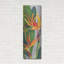 Luxe métal Art «Bird Of Paradise Triptych II» par T «Luxe métal Art« Bird Of Paradise Triptych II »par Tim O'Toole, art mural en métal, 16 po x 48 po par Tim O'Toole