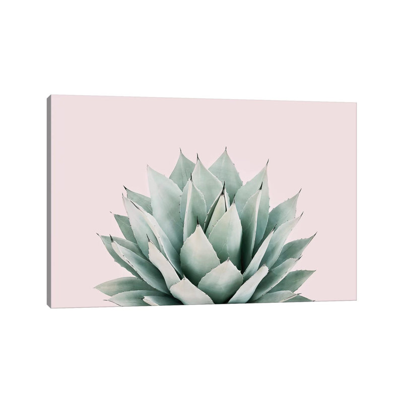«Agave» par Sissi et Seb - impression d'art graphique, Toile tendue, Pas de tapis, H 18 po x l 26 po x P 1,5 po