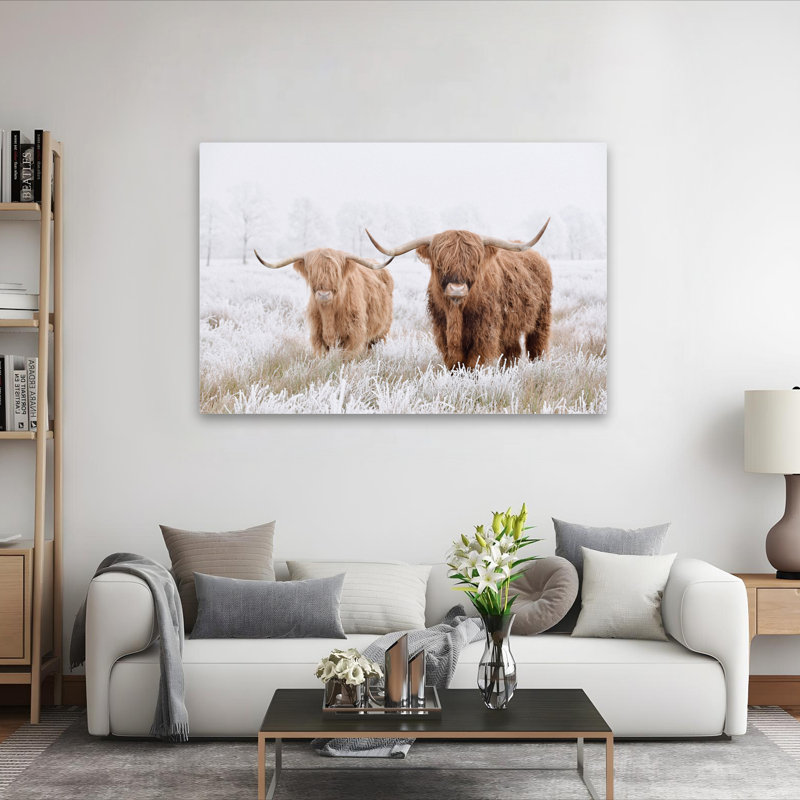 Springfield - Photographie, animaux, faune, vaches, art, H 40 po x l 60 po