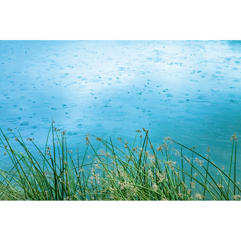 Pond, Reeds & Rain - Wrapped Canvas Print, 81cm H x 122cm W