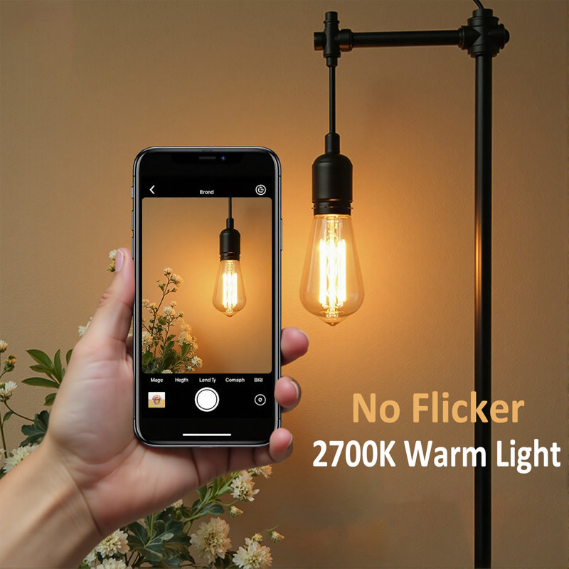 Ampoule à DEL 60W ST58 Edison 6W 2700K avec culot moyen E26