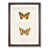 Walnut Framed selected
