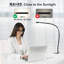 Adelaid Desk Lamp