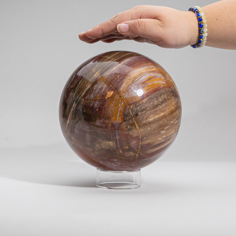Petrified Wood Spheres