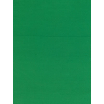 TAFFETA OLYMPIA SOIE