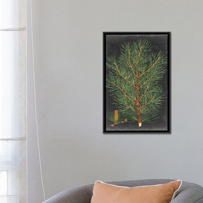 «Dramatic Pine II», impression sur toile, H 26 po x l 18 po x P 1,5 po, Toile avec cadre noir, Pas de tapis