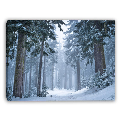 Art mural sur toile Misty