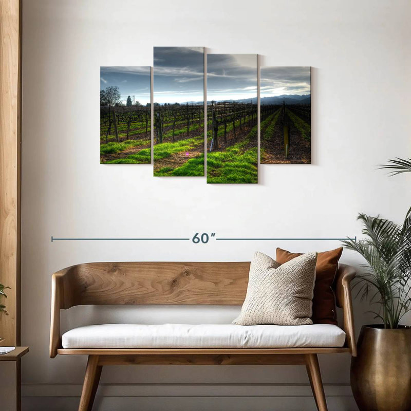 Alvord Napa Vineyard en janvier, H 27 po x l 43 po