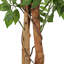 180 cm H Faux Fiddle Leaf Fig Tree Plant in Cement Pot