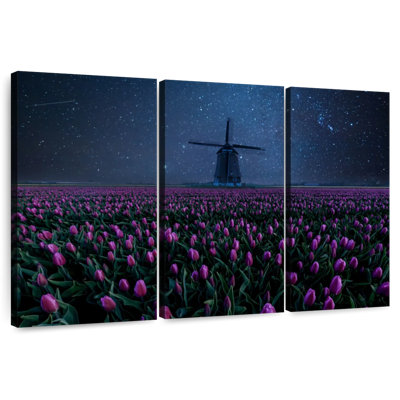 Champ de tulipes Harnek Starry