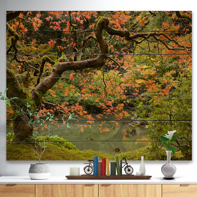 " Japanese Garden Fall Season "