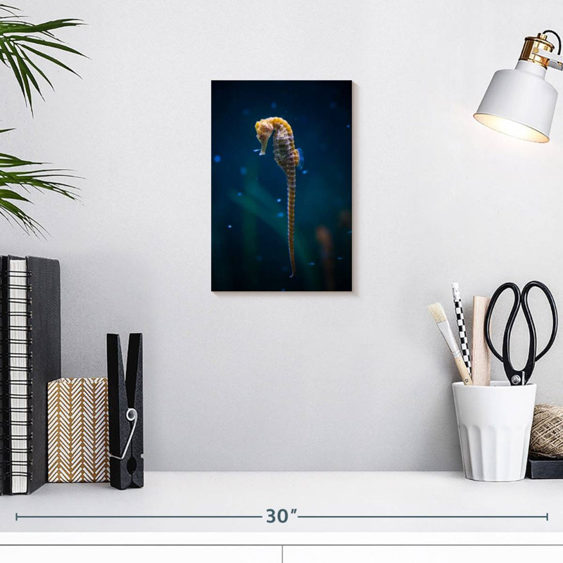 Brampt Long Tailed Seahorse, 12" H x 8" W