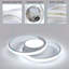Audriauna 2-Light Dimmable Flush Mount Ceiling Light with Remote Control