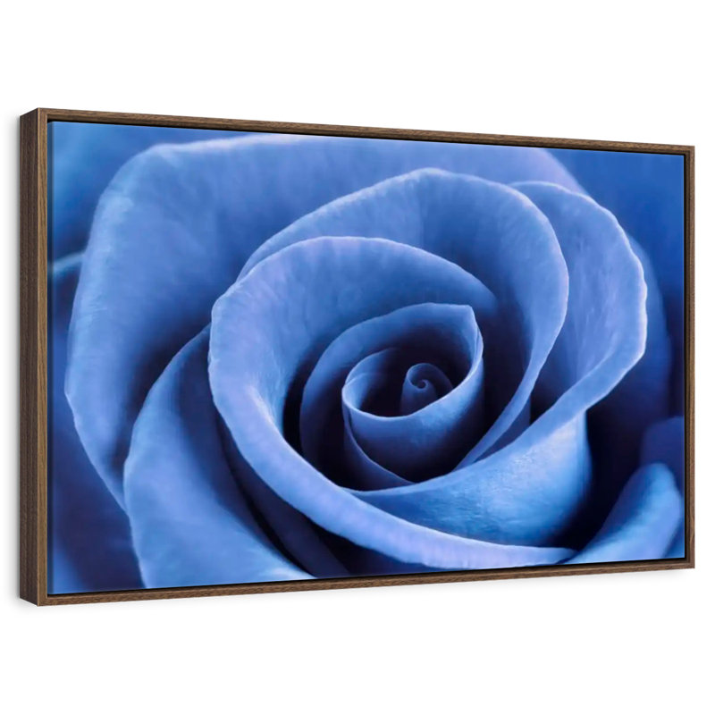 Denim Blue Rose, 46" X 31", Floating Frame Walnut