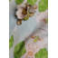 Flowering Dogwoods Lumbar Pillow Cover & Insert-1547134297