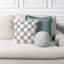Fresh Perspective Pillow Cover & Insert-1488097291