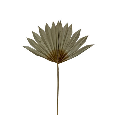 Ecker Arrangement