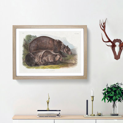 Grizzly Bears by J.W. Audubon - Picture Frame Painting Print