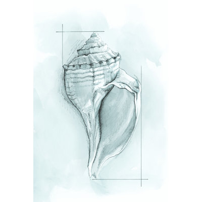 Coastal Shell Schematic I by Megan Meagher - Painting on Canvas