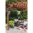 12 Ft. W x 10 Ft. D Solid Wood Pergola-1100798542