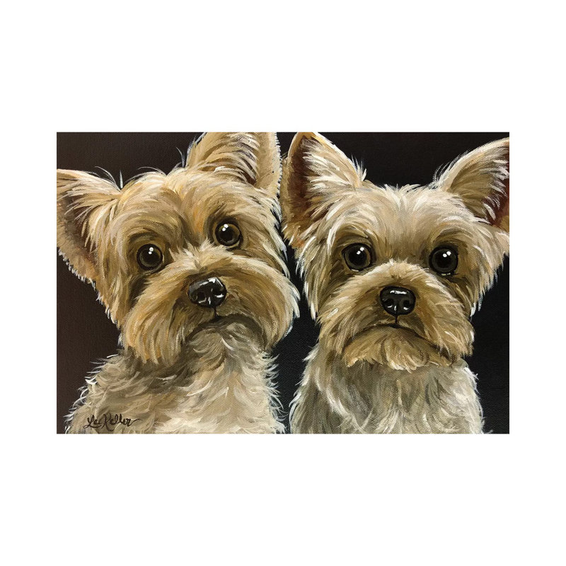 Two Yorkies - Wrapped Canvas Print, 20.32 cm H x 30.48 cm W