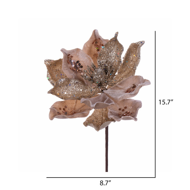 Tige de magnolia, Champagne