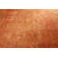 Agra One-of-a-Kind Rectangle 8'11" X 12'10" Hand Knotted Area Rug