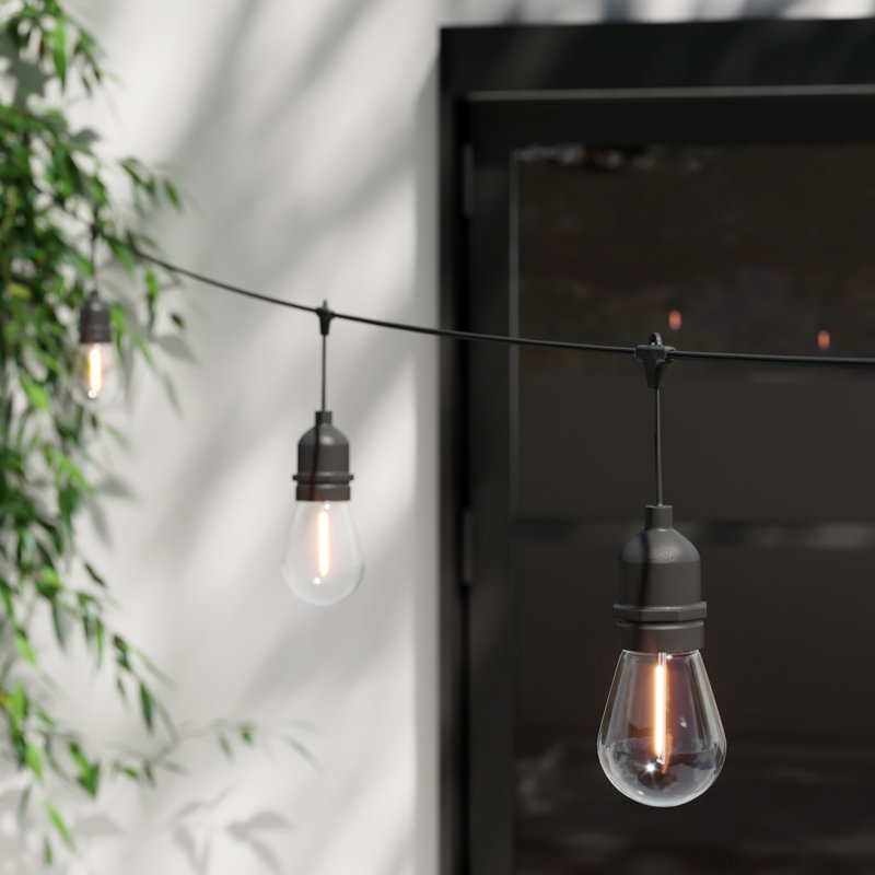 Burroughs  48' Outdoor 15 - Bulb Standard String Light, Black