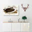 Two Albatross Birds by Elizabeth Gould - Wrapped Canvas-55361411