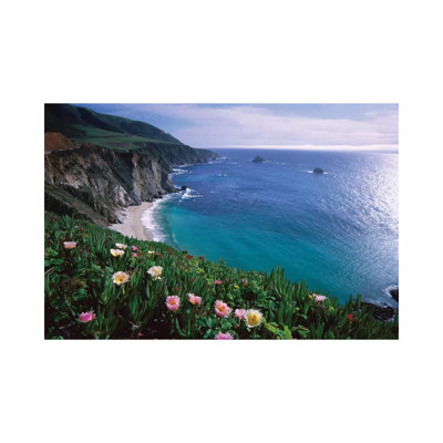 Ice Plant, Big Sur Coast Near Bixby Creek, California by Tim Fitzharris - Wrapped Canvas Print