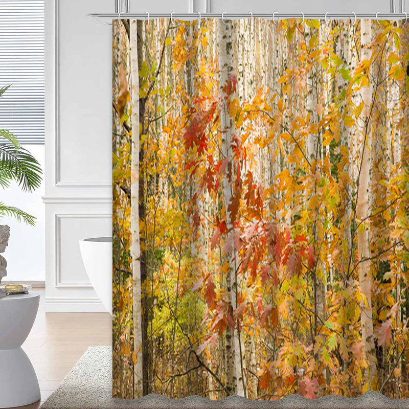 Rideau de douche à 12 crochets Forest Birch Trees, L 72 po x l 72 po