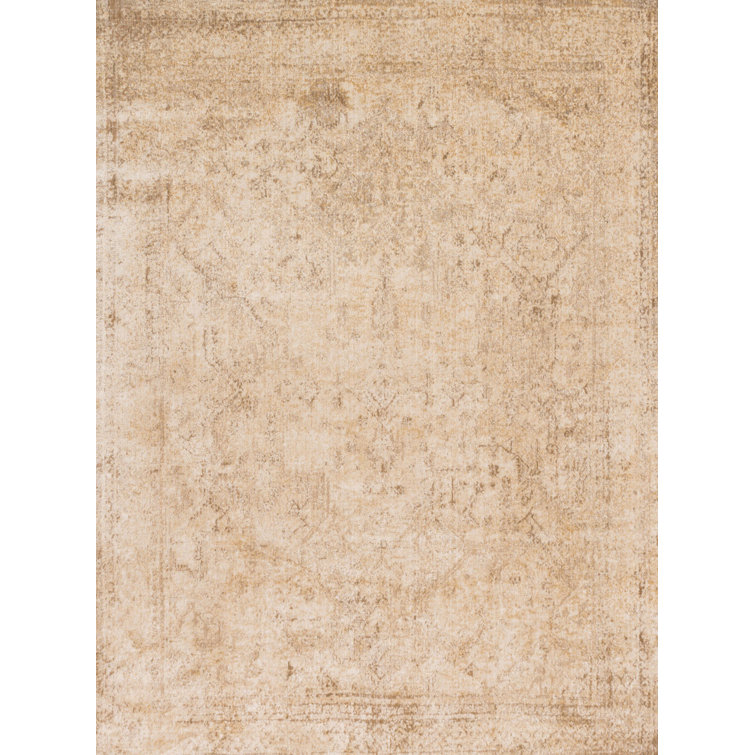 Erasmo Oriental Indoor Rug