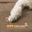 Terry-Style Pet Bed-115116519
