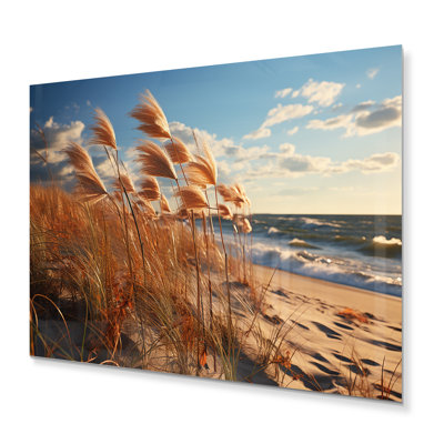 «Beach Grass Sunkissed Sands III», reproduction d'art en métal