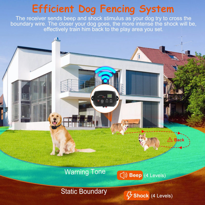 Rechargeable Dog Fence with 100 Adjustable Levels