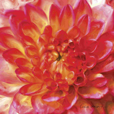 Painterly Flower II