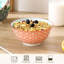 Ensemble de bols en céramique 6 pièces pour la soupe, la salade, le dessert, le riz et l'avoine, allant au lave-vaisselle et au micro-ondes, durable et élégant
