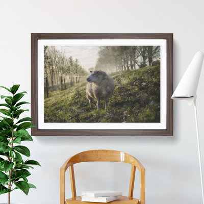 Woolly Sheep - Picture Frame Graphic Art