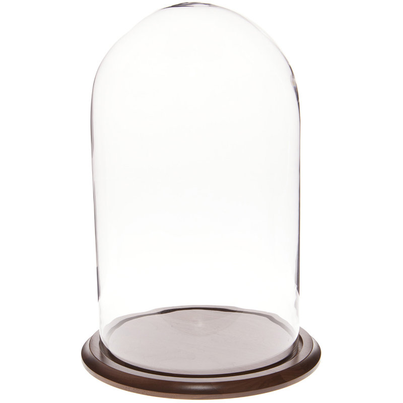 Cloche à dôme en verre 11,75 "x 20" Vucciria, Base noyer