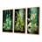 Green Bottled Melody-239315146-239315151