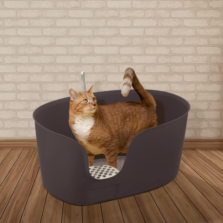 PETFAMILY Extra Large Cat Litter Plastic Enclosed Standard Litter Box, Wayfair