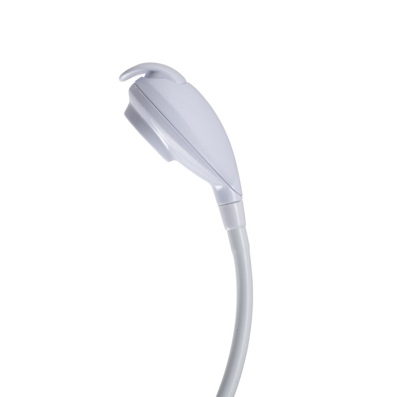 Handheld Shower Head